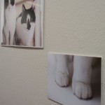 P6150069