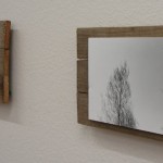P6120024