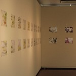P6200052