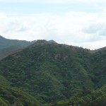 P1020100