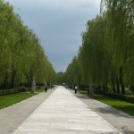P1020208