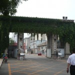 P1020563