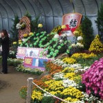 PA300013 のコピー