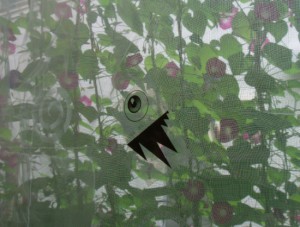 P8010024 のコピー