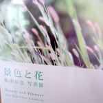 P6150048